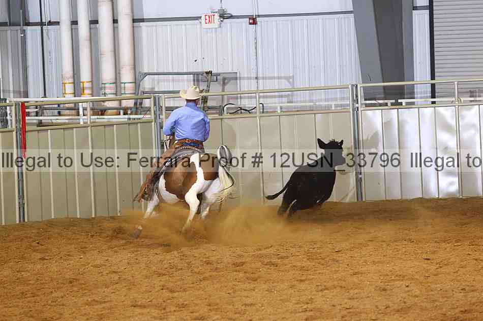 Proof 12usn_33796