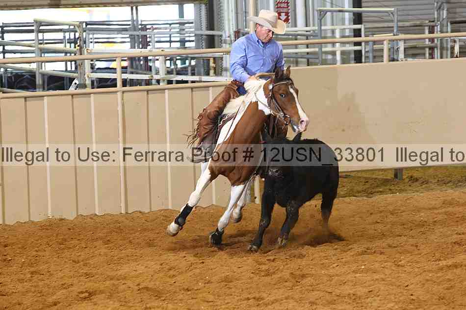 Proof 12usn_33801