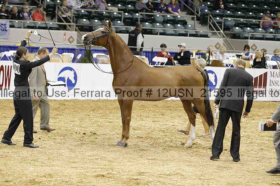 Proof 12usn_21595