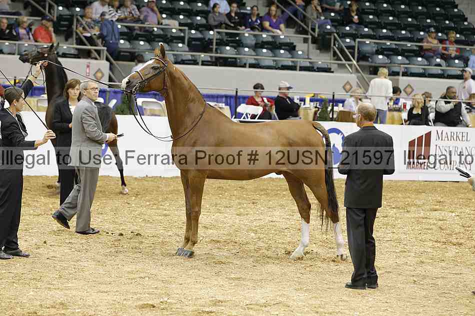 Proof 12usn_21597