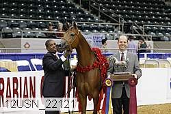 12usn_22121 proof