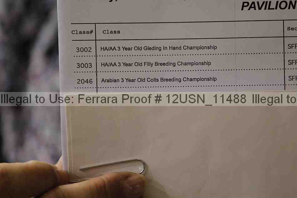 Proof 12usn_11488