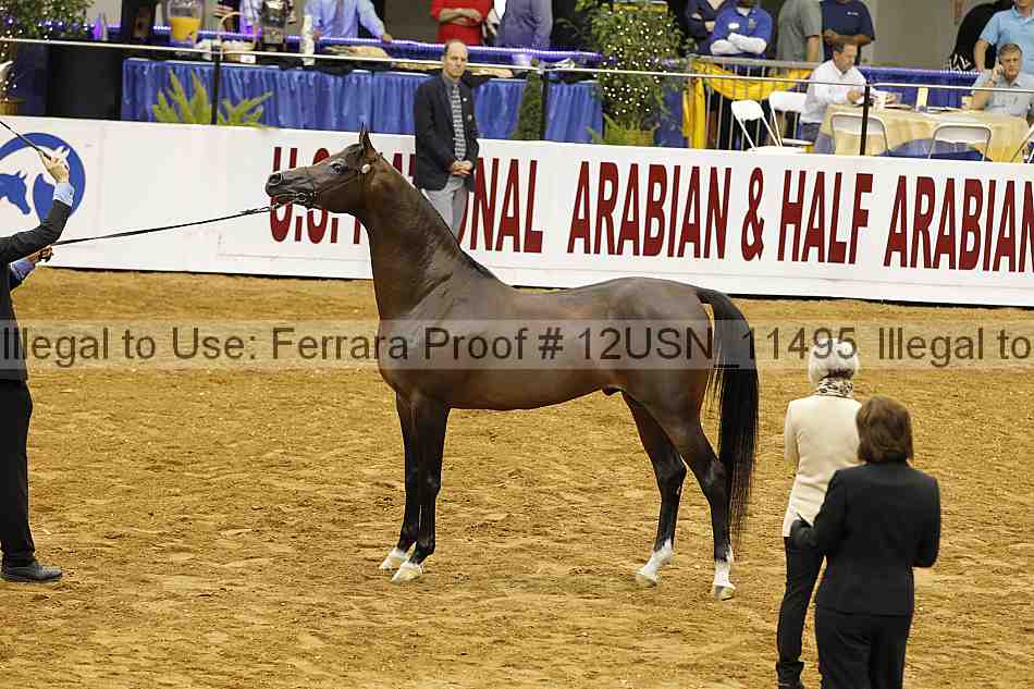 Proof 12usn_11495