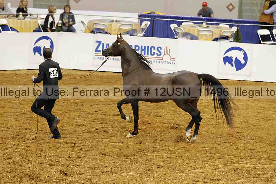 Proof 12usn_11496
