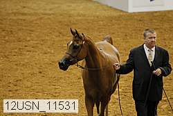 12usn_11531 proof