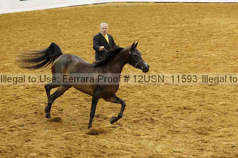 Proof 12usn_11593