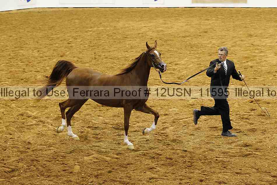 Proof 12usn_11595