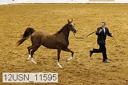 12usn_11595 proof