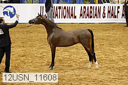 12usn_11608 proof