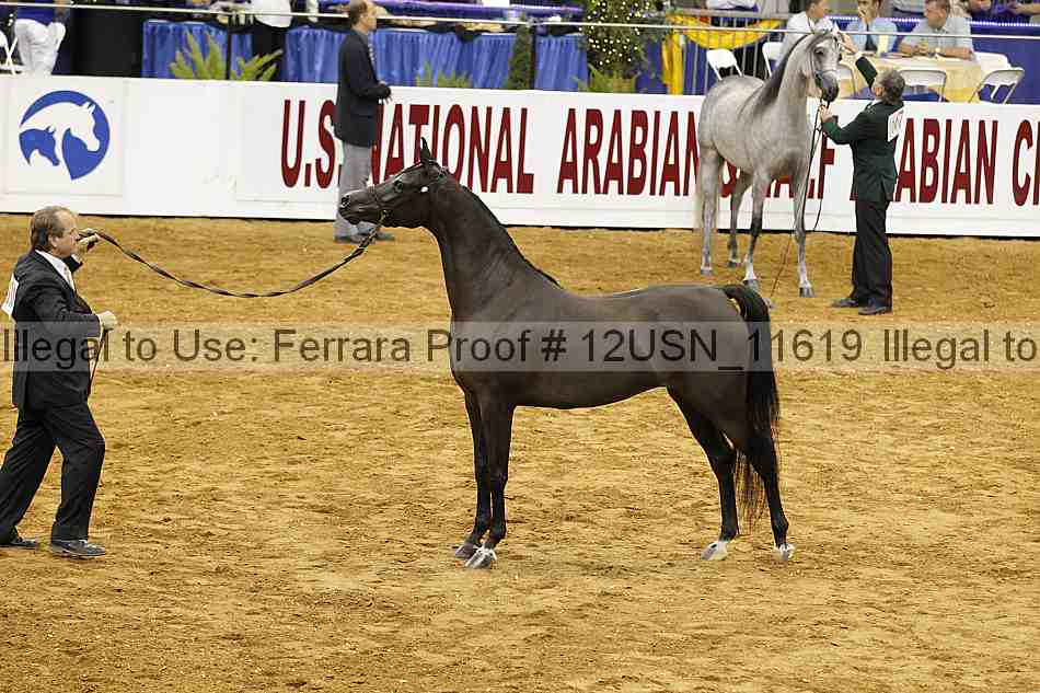 Proof 12usn_11619