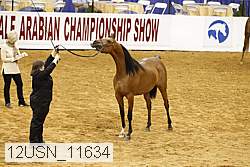 12usn_11634 proof
