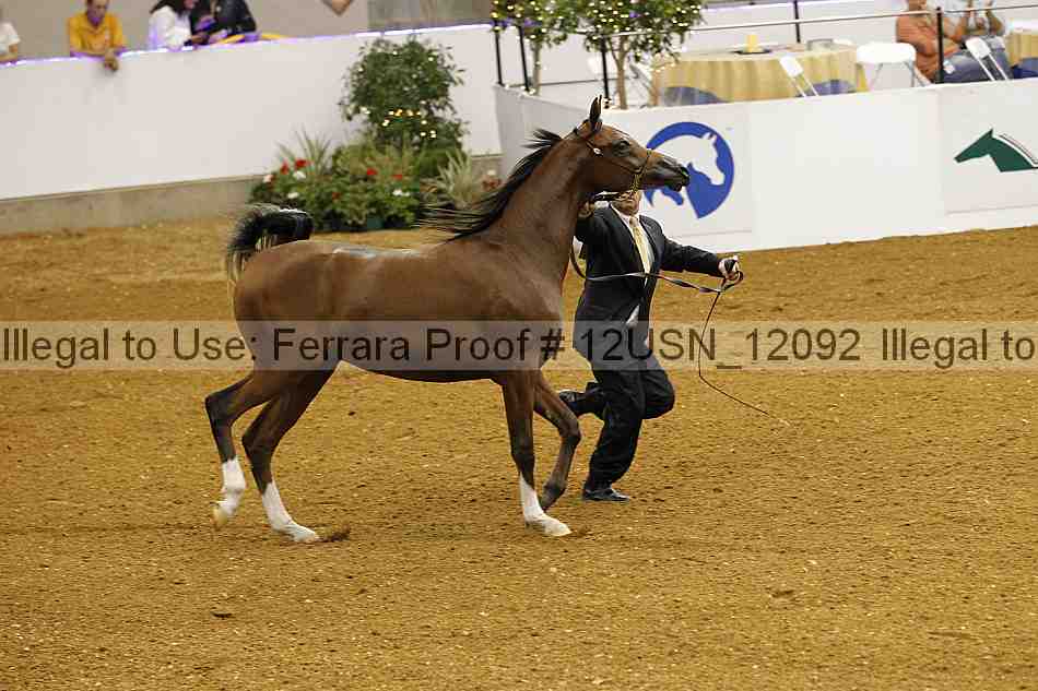 Proof 12usn_12092