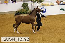 12usn_12092 proof