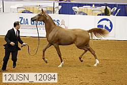 12usn_12094 proof