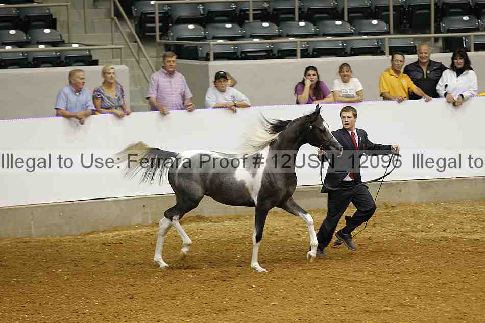 Proof 12usn_12096