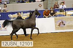 12usn_12101 proof