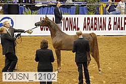 12usn_12102 proof