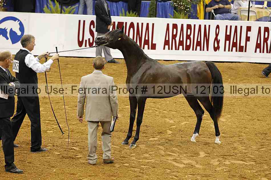 Proof 12usn_12103