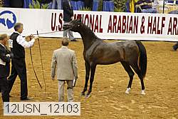 12usn_12103 proof