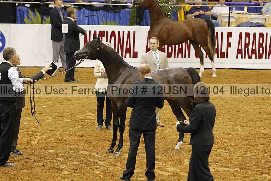 Proof 12usn_12104