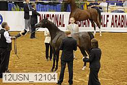 12usn_12104 proof