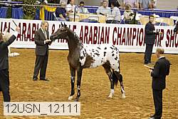 12usn_12111 proof