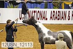 12usn_12113 proof