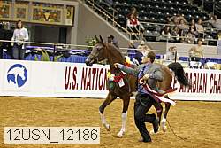 12usn_12186 proof