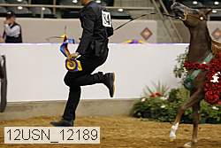 12usn_12189 proof
