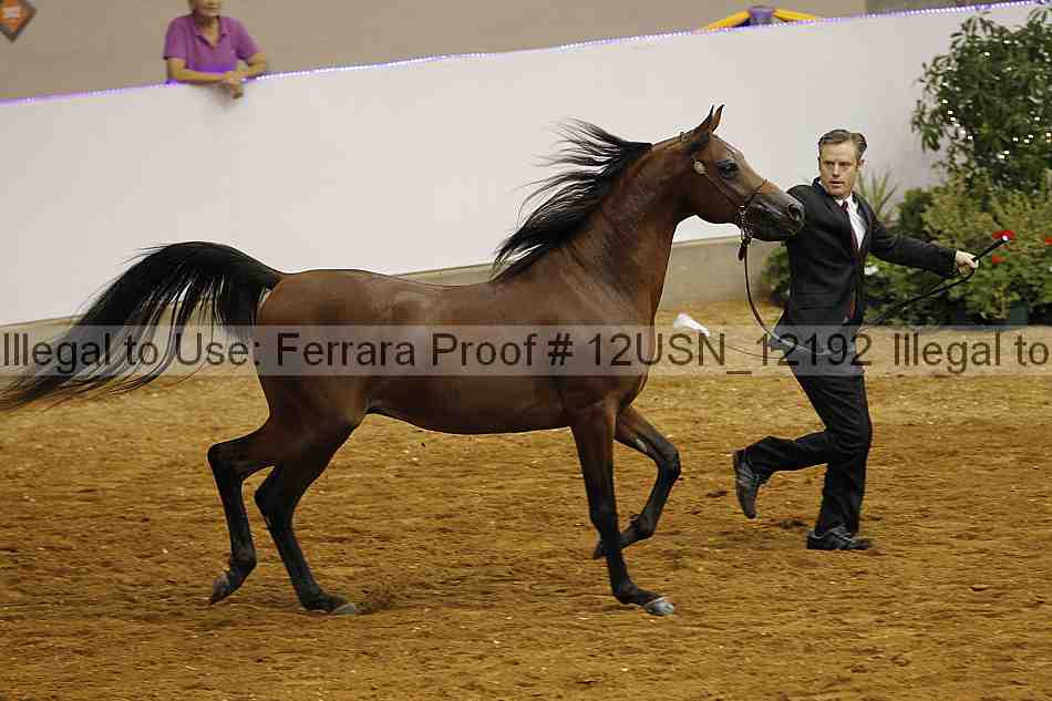 Proof 12usn_12192