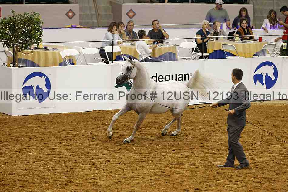Proof 12usn_12193