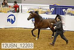 12usn_12203 proof