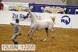 12usn_12205 proof