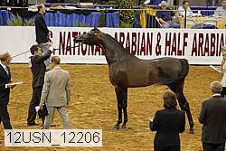 12usn_12206 proof