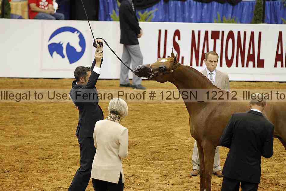Proof 12usn_12212