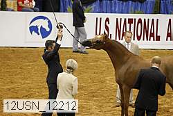 12usn_12212 proof