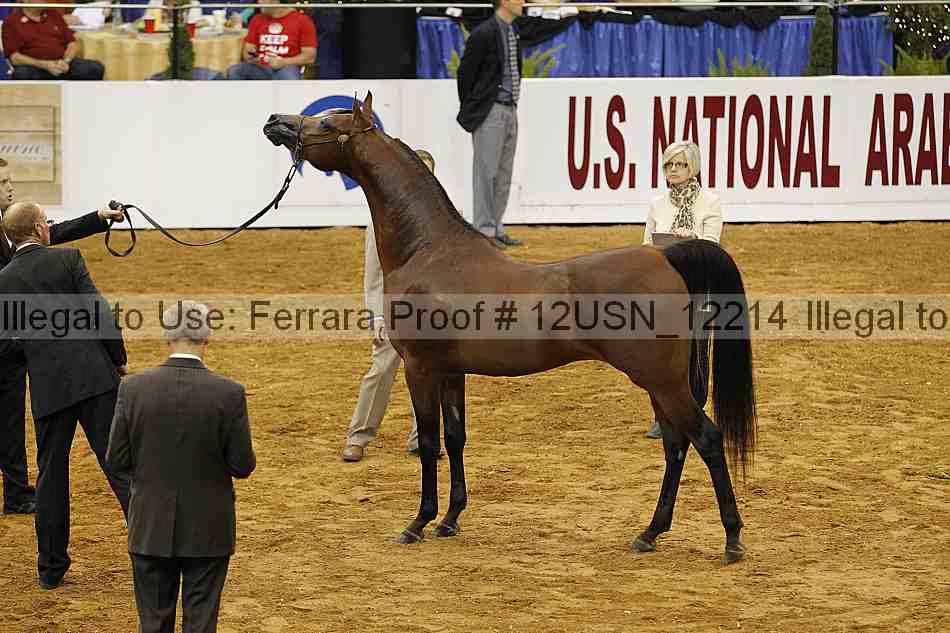 Proof 12usn_12214