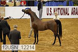 12usn_12214 proof