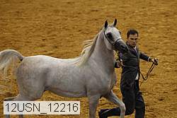 12usn_12216 proof