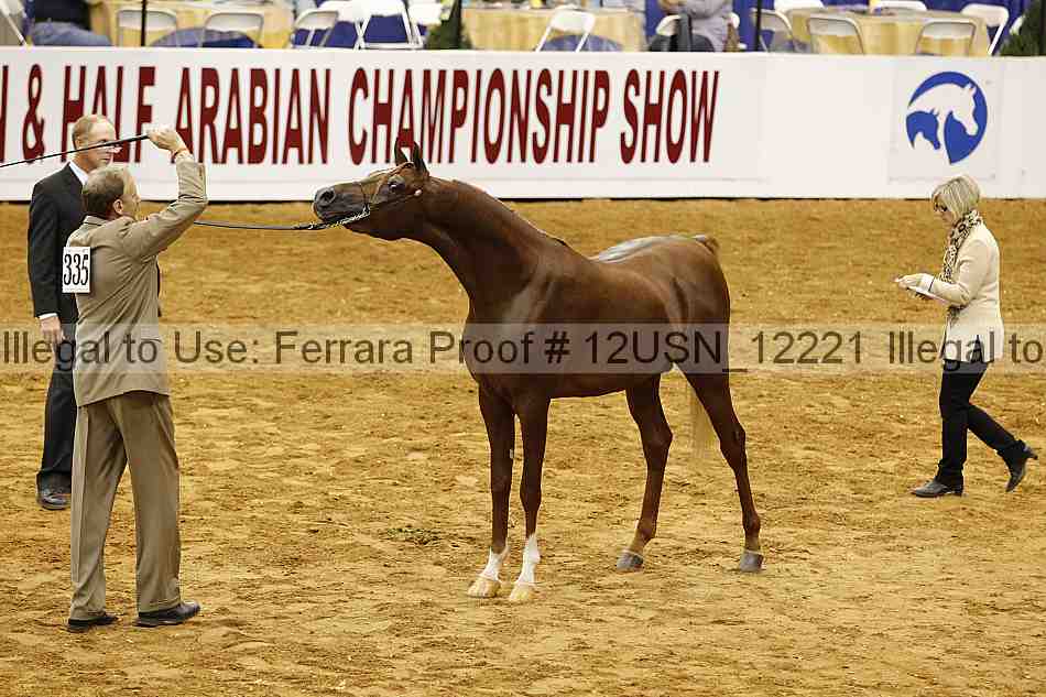 Proof 12usn_12221
