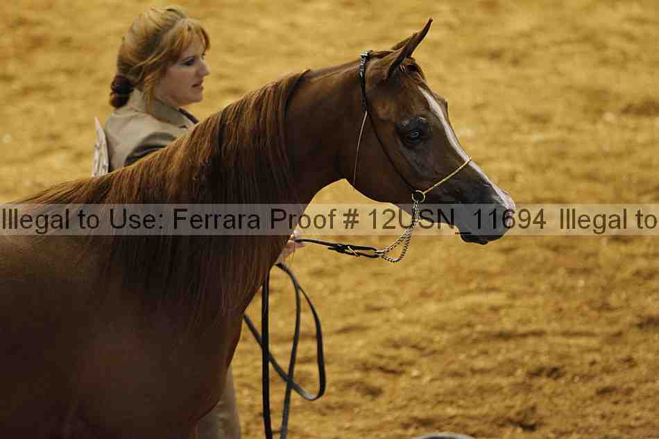 Proof 12usn_11694