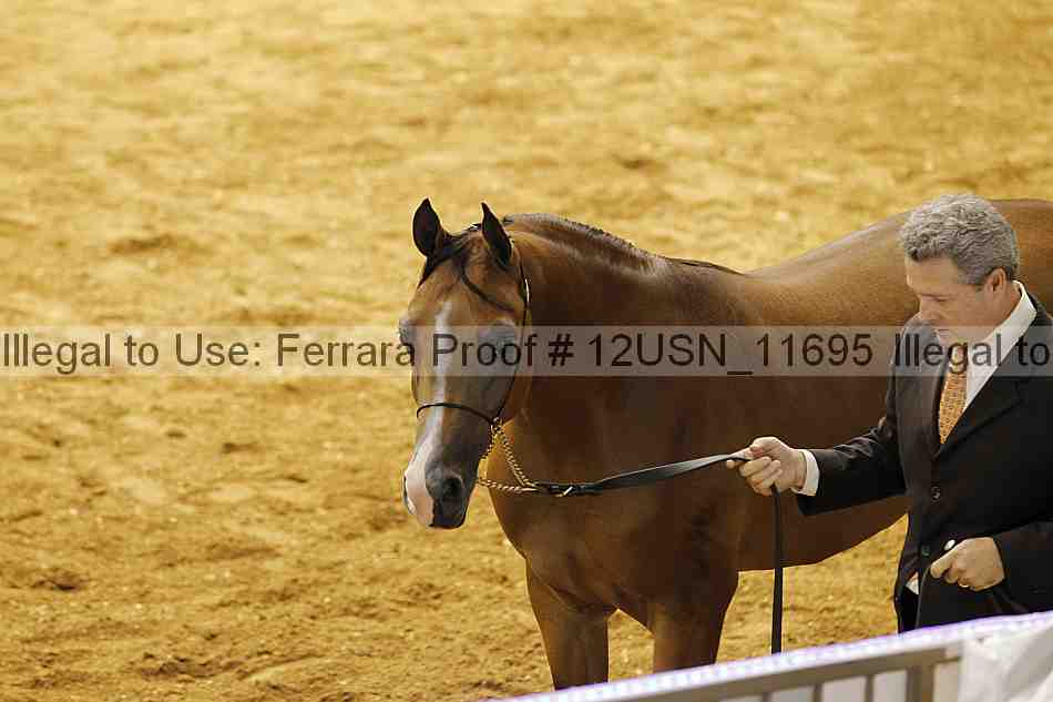Proof 12usn_11695