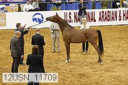 12usn_11709 proof