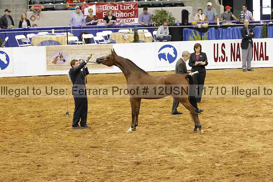 Proof 12usn_11710