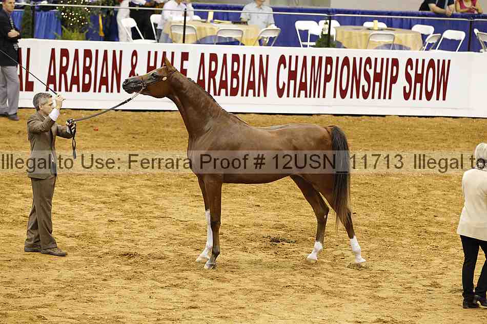 Proof 12usn_11713