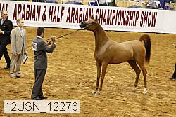 12usn_12276 proof