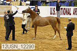 12usn_12290 proof