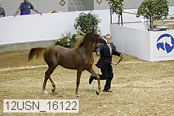 12usn_16122 proof