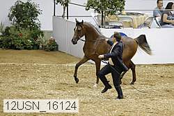 12usn_16124 proof