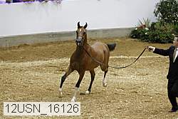 12usn_16126 proof